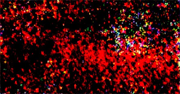 Idées de décors pour vos photos de noël parfaites